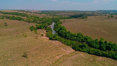 Luftaufnahme,-Die-Auf-Grüne-Bäume-Zufliegt,-Die-Einen-Fluss-In-Einer-Trockenen,-Trockenen-Landschaft-Umgeben