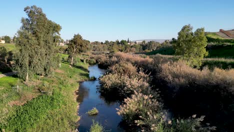 Verde-Latigazo-Durante-El-Invierno--El-Río-Jordan--Bautizo-Yardenit-Sitio-Cristiano-Sagrado--Turismo-Religioso--Norte-De-Israel