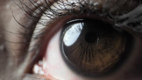el ojo humano vista de cerca extrema