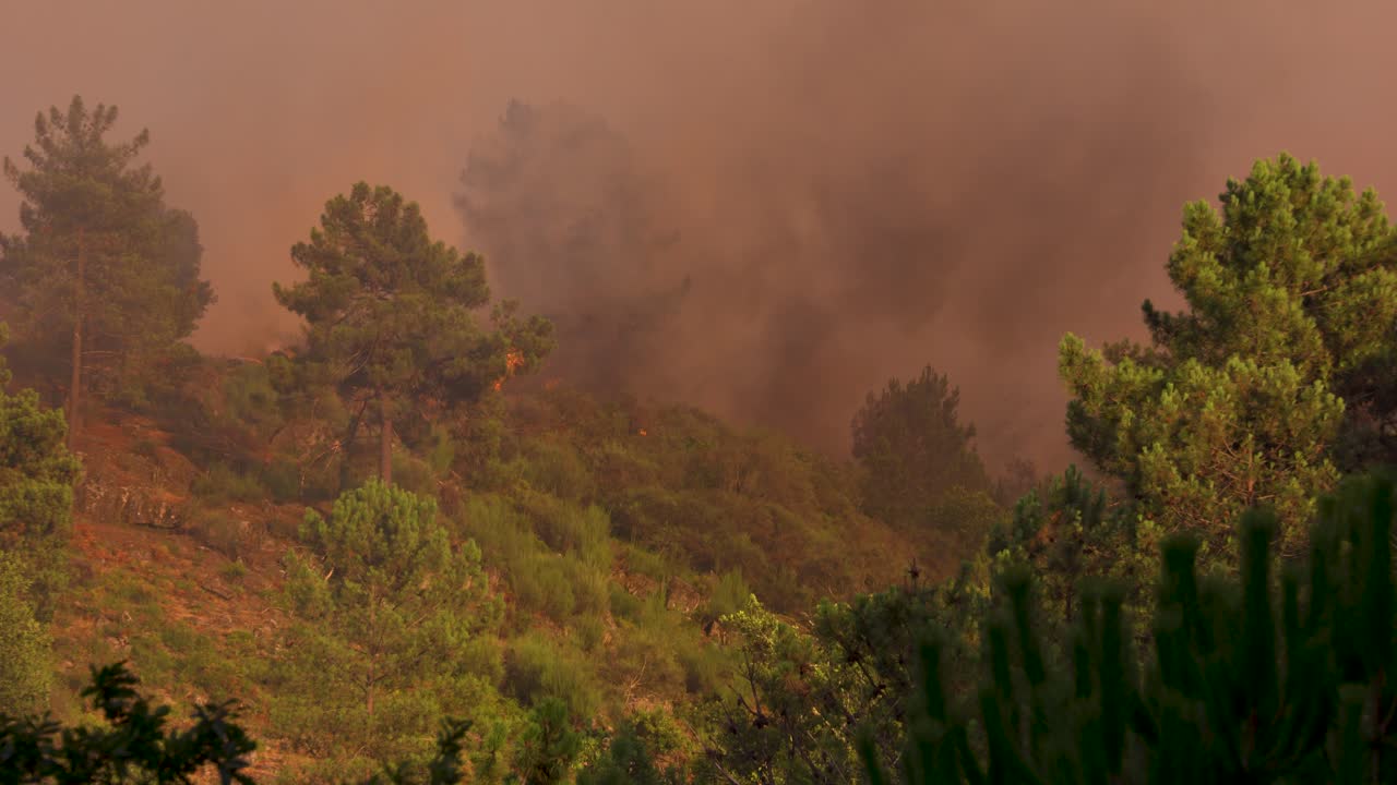 Flames and dark clouds rise from the top of a mountain during a wild forest fire