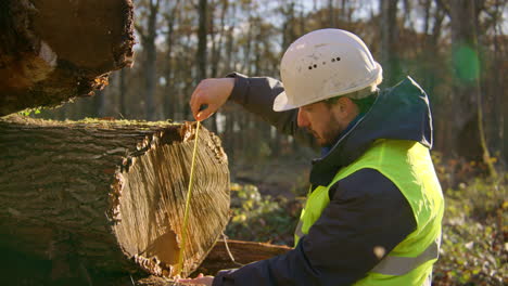 Tree-specialist-recording-diameter-measurement-of-tree-trunk