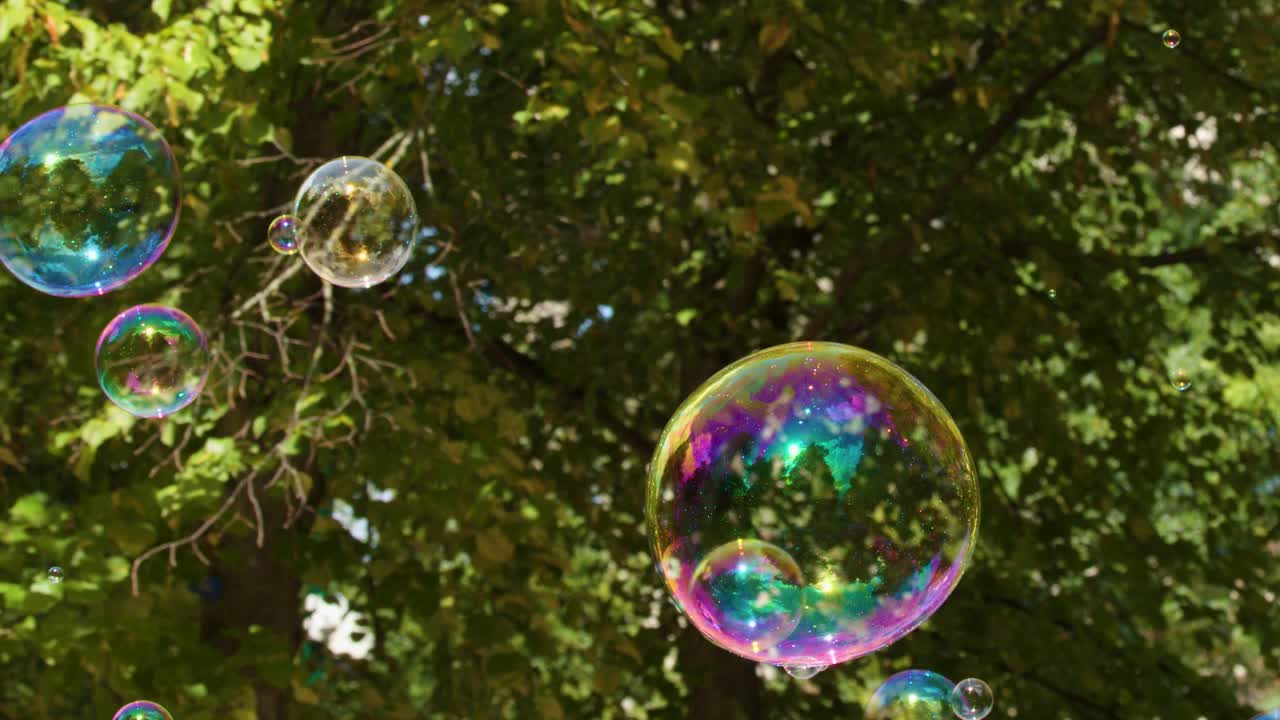 Bolle di sapone iridescenti e colorate fluttuano nella luce del sole su uno sfondo di una rigogliosa foresta verde