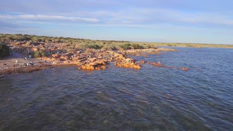 wide view of a island covered with sea gulls and moving out revealing the entire landscape at bahia bustamante