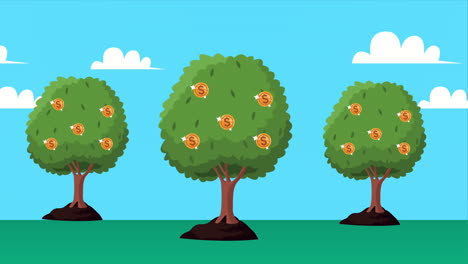 monedas dinero dólares planta animación