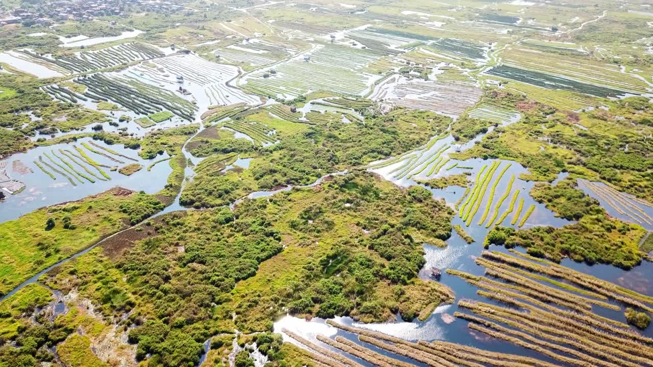 Aerial view of floating gardens on Inle lake, showcase sustainable agriculture and traditional farming methods in unique ecosystem of myanmar, designated place of World Network of Biosphere Reserves