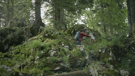 um jovem alpinista subindo em rochas cobertas de musgo na floresta ajudando-se com os bastões de caminhada para escalar