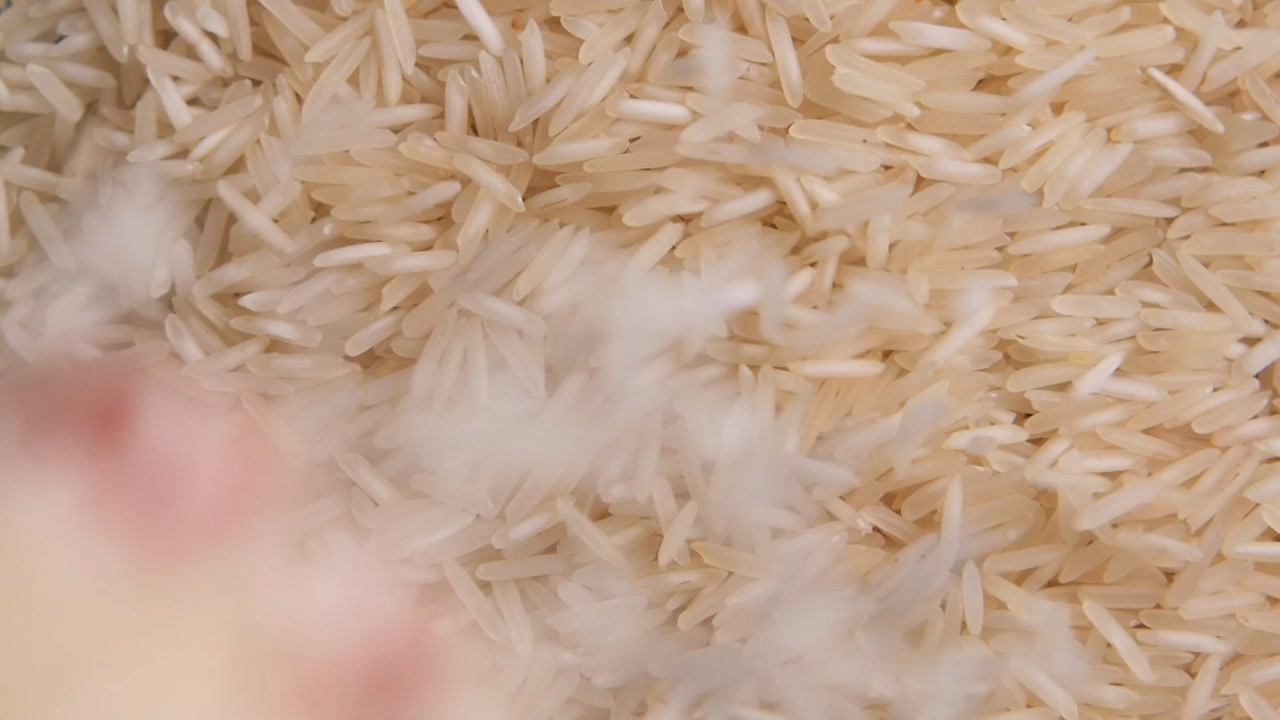 Hand Stirring Uncooked Basmati Rice Grains