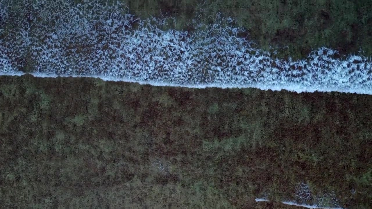Overhead perspective showing clear turquoise ocean water with white foam waves crashing on a visible underwater coral reef. Majestic aerial view overflight flyover drone camera pointing down