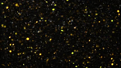 slow motion, particles of colour, mesmerizing, captivating animation