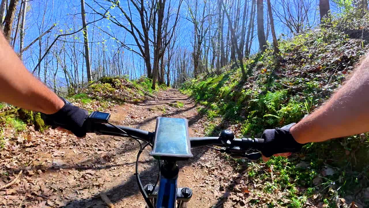 Mountain Biking on a Forest Trail