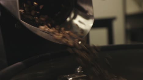 roasted coffee beans pouring out from the roaster machine