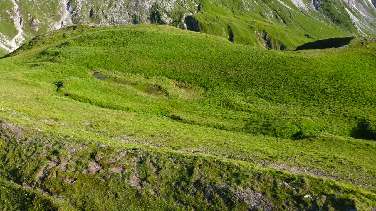 Paesaggio aereo dall'alto di un lussureggiante prato verde erboso nelle Alpi Dolomitiche italiane in una giornata estiva.