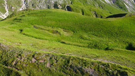 aerial overhead landscape of lush green grassy meadow field in the italian alps of the dolomites on a summer day