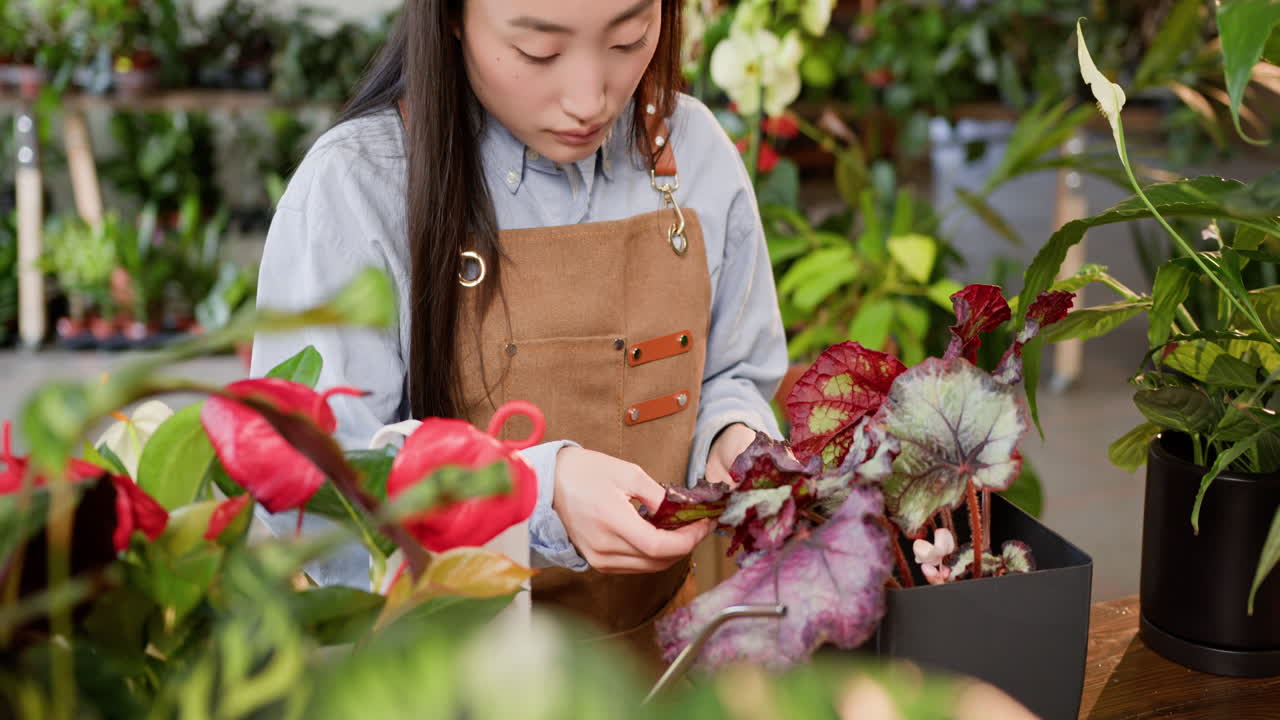 상점 에서 식물 을 돌보는 여자 꽃 가게