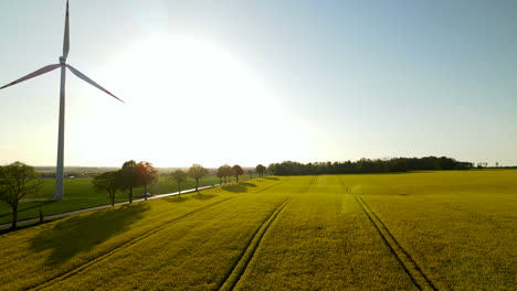 aerial flyover golden rape field beside rural road with driving car and rotating wind turbine during beautiful sunset