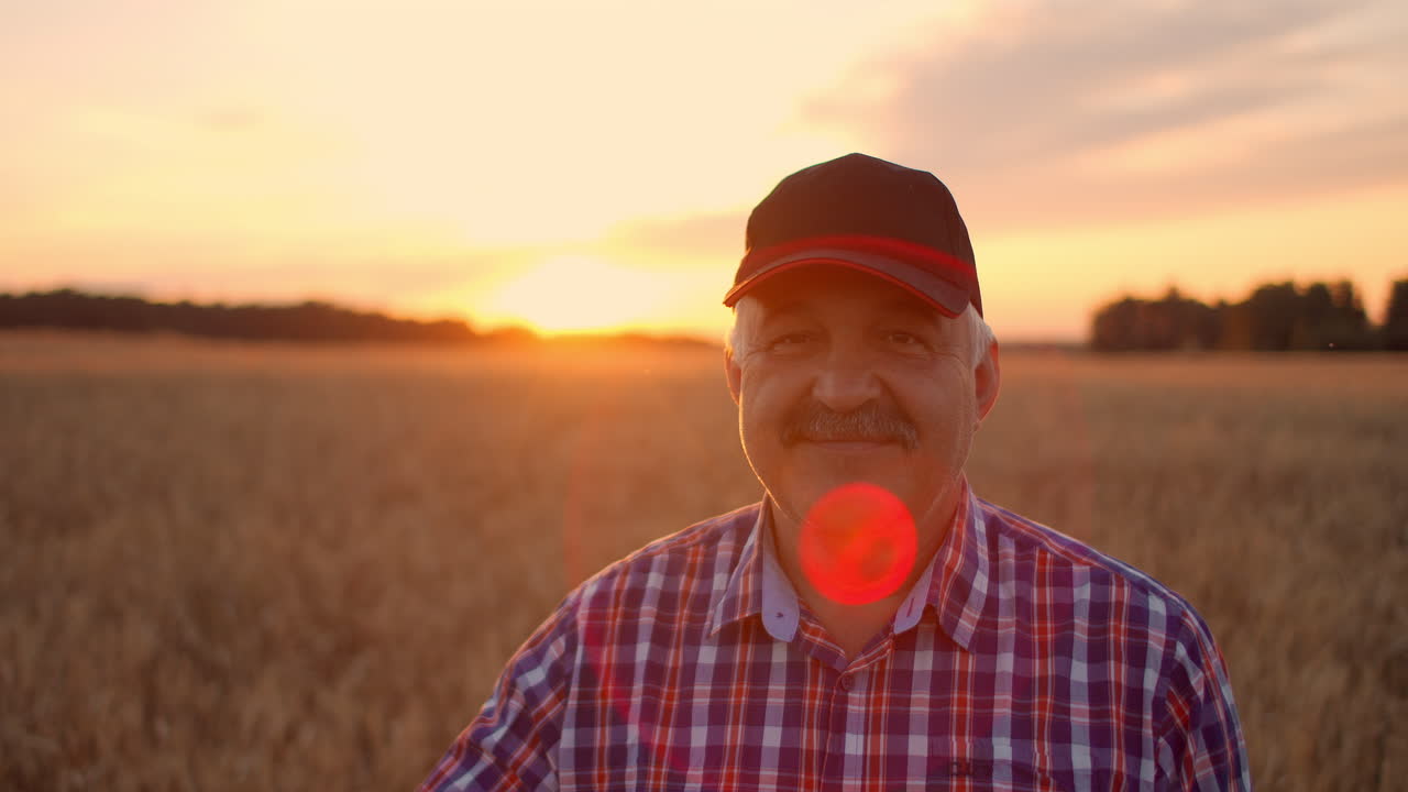 retrato de un granjero adulto sonriente con una gorra en un campo de cereales. en la luz del atardecer un anciano en un conductor de tractor después de un día de trabajo sonríe y mira a la cámara.