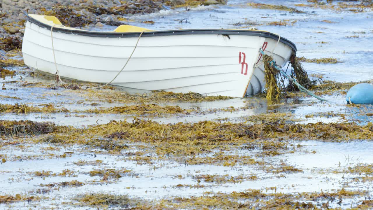 A white rowboat sits motionless on a kelp-strewn tidal flat, tethered to a buoy, under soft natural daylight with minimal camera movement