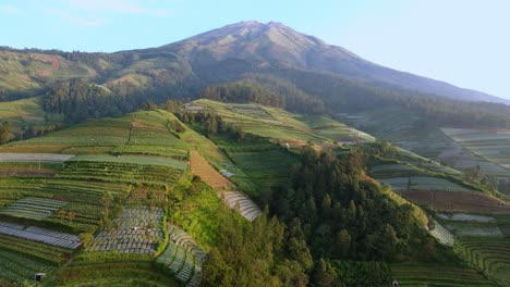 vista aérea panorámica del monte sumbing y las laderas con plantaciones en indonesia
