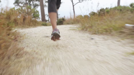 woman running trail close up shoes steadicam shot