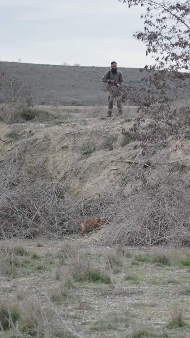 Hunting scene with man and dog in a rural landscape