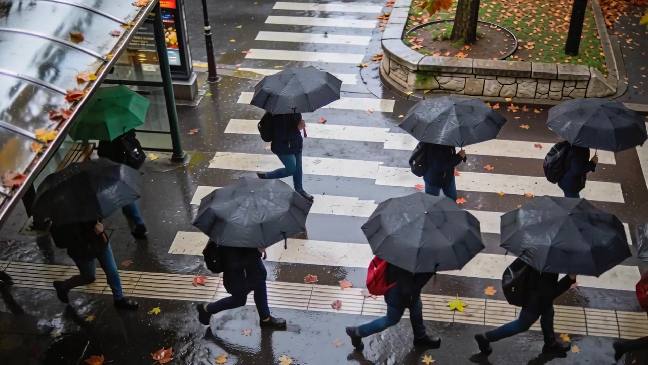 Leaving shelter, people wearing coats with umbrellas crossing wet zebra crosswalk, green umbrella