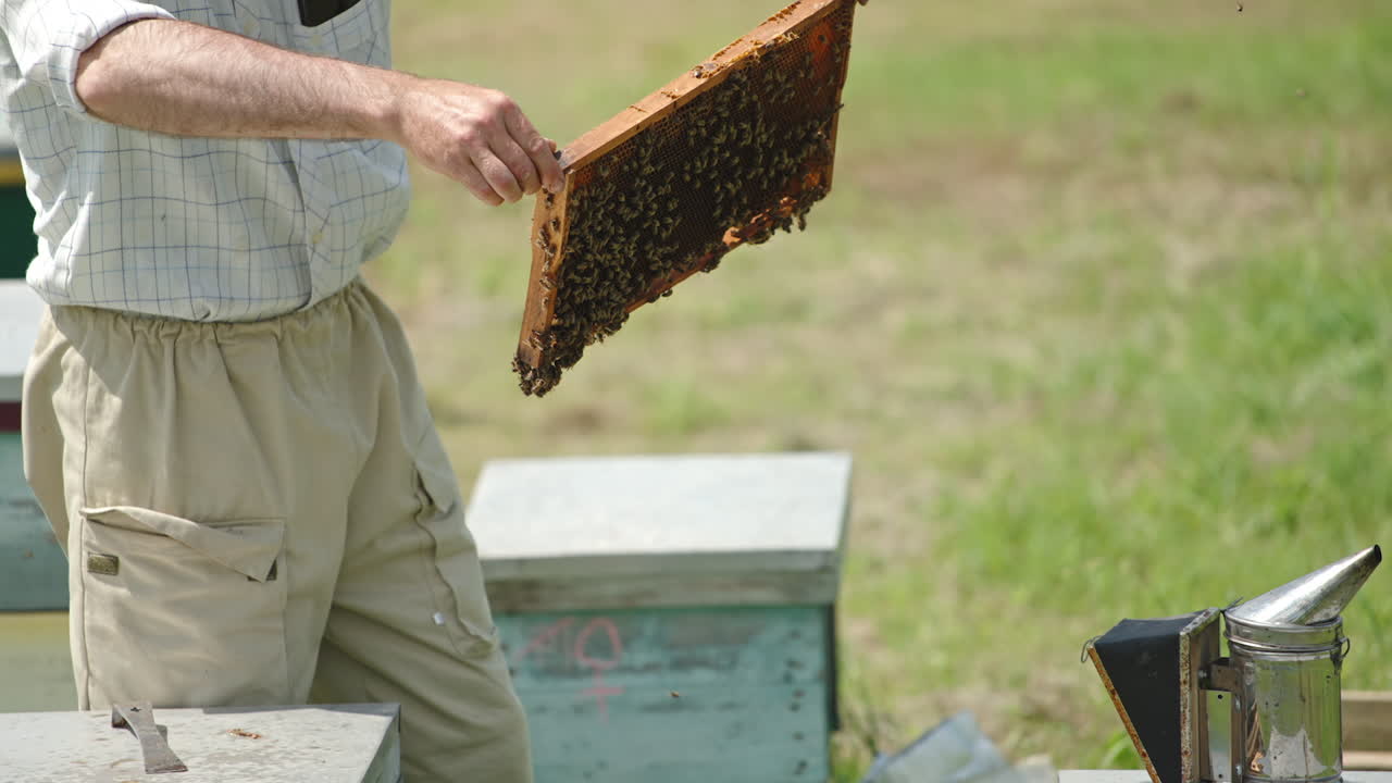 Adult man apiarist examines honey frames full of bees. Tools for apiary are at the hives. Sunny day backdrop.