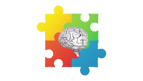 animación de rompecabezas coloridos y cerebro girando sobre fondo blanco