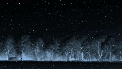 dark winter night background