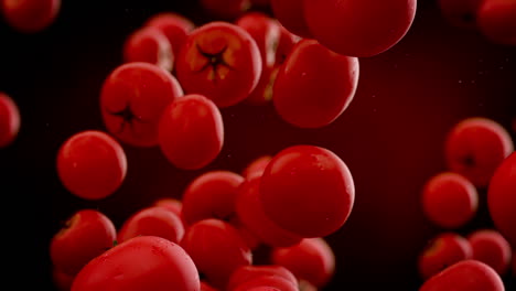 Clearly-clean-red-tomatoes-with-water-droplets-falling-down-in-front-of-the-blurry-background.-Slow-motion-computer-generated-imagery-presenting-realistic-looking-vegetables-in-the-air.-HD