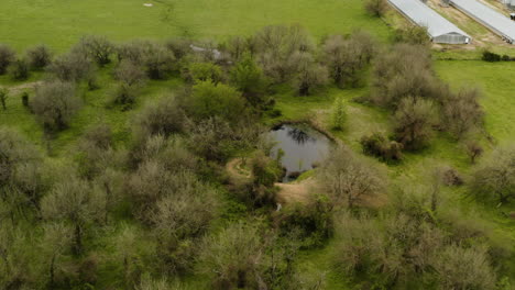 Tierras-De-Cultivo-En-El-Paisaje-Del-Sur-De-Los-Estados-Unidos---Antena