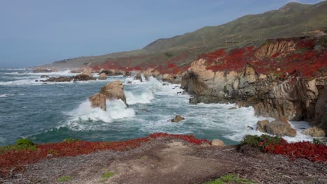 wide shot of large waves crashing against jagged big sur coastline in garrapata, cliffs covered in red iceplant in slow motion