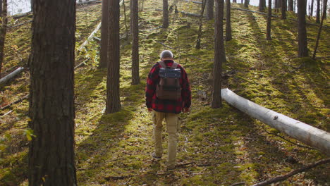 Un-Hombre-Solitario-Camina-Por-El-Bosque-En-El-Día-De-Otoño-Llevando-Una-Mochila-Vista-Trasera-Perdida-En-El-Peligro-Del-Bosque-Y-Extrema