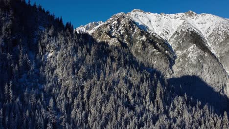 Snow-covered-alpine-trees-and-rugged-mountain-peaks