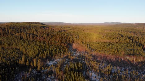 Slowly-moving-over-endless-forest-of-pine-trees-on-a-bright-and-sunny-day-outside-Vansbro,-close-to-Applebo