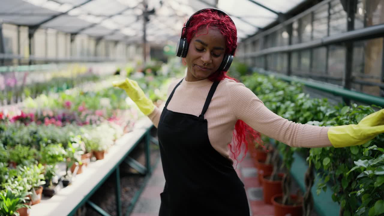 Jardineira e florista afro-americana caminha pela estufa, dançando de bom humor.
