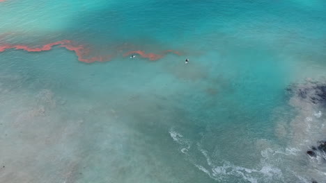 surfistas surfeando en el agua azul turquesa de la playa de shirahama con costa rocosa en japón