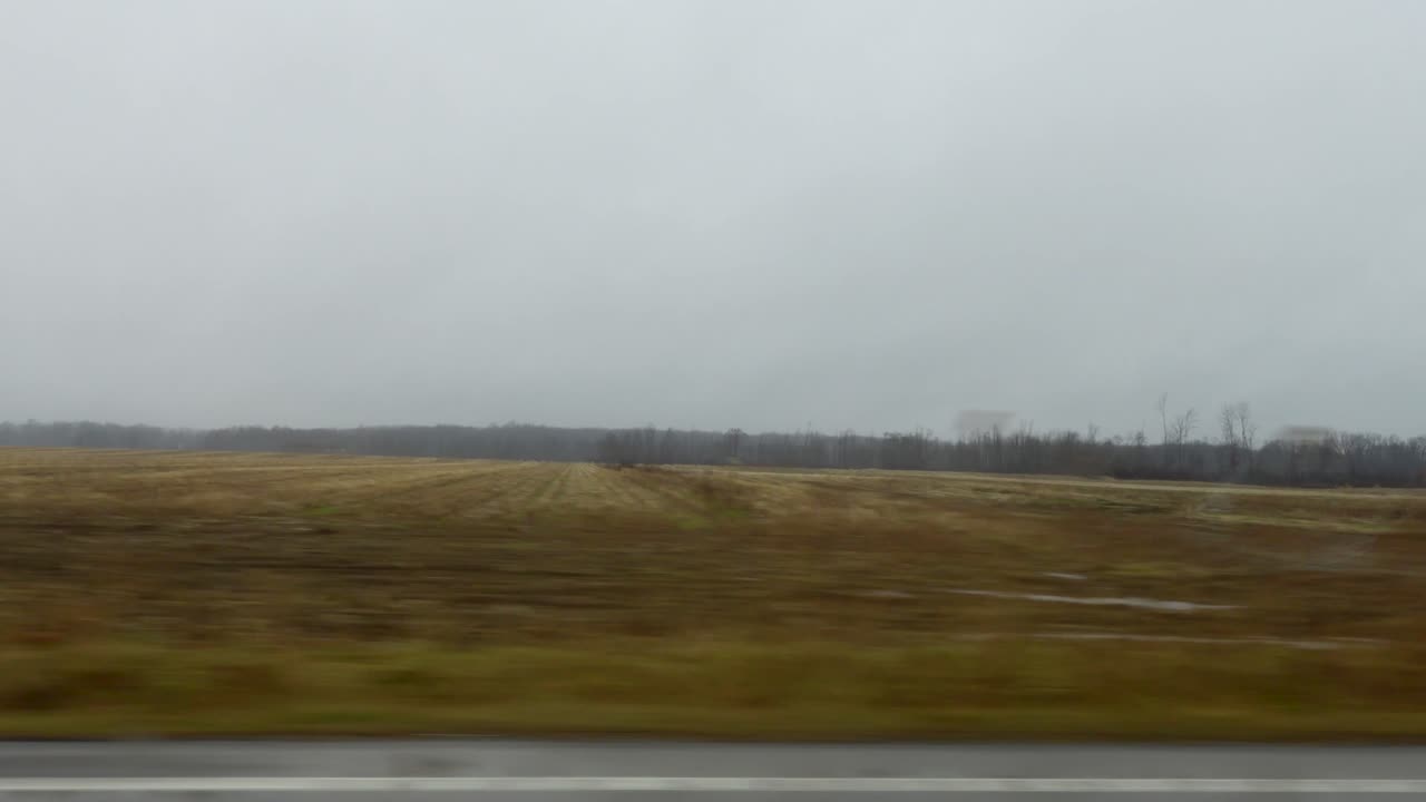 Wide shot of an expansive rural field under an overcast sky, offering a serene view of the countryside, perfect for agricultural themes and rural life projects.