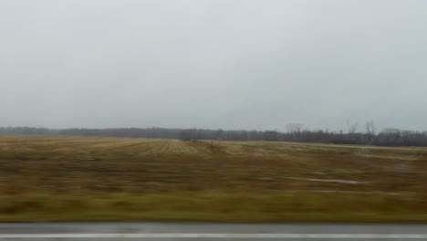 wide shot of an expansive rural field under an overcast sky, offering a serene view of the countryside, perfect for agricultural themes and rural life projects.