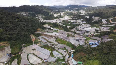 general landscape view of the brinchang district within the cameron highlands area of malaysia