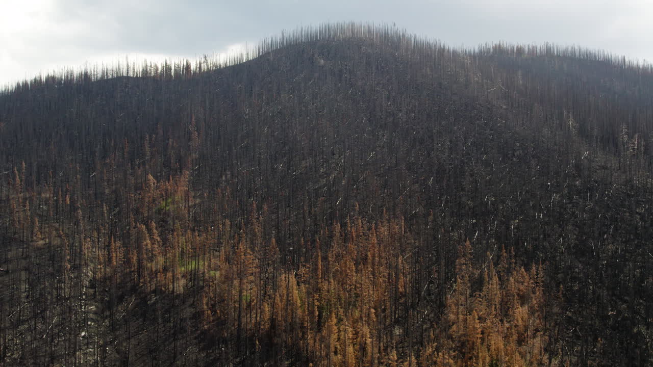Conseguenze di un paesaggio montano con foresta bruciata, incendi boschivi distruttivi, B