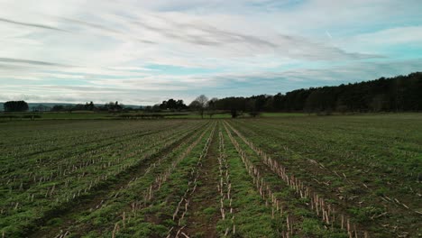 Ploughed-field---aerial-drone-slow-and-low-flyover,-Mar-23-4K