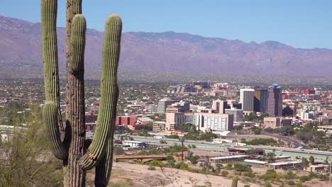 an establishing shot with cactus of tucson arizona 1