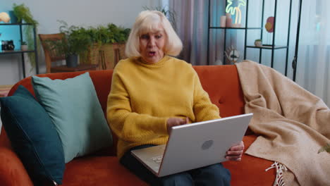 senior grandmother woman looking at laptop camera making video conference call with friends family