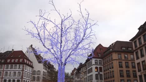 blue light winter tree in plaza at a festive christmas market in europe