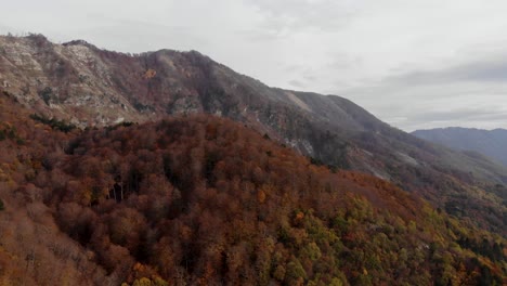 Mountain-scenery-with-brown-forest-trees-and-rocky-slope-in-Autumn-cloudy-day