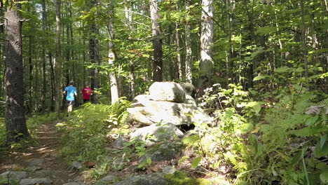 two runners run past and away on a wooded trail with filtered sunlight