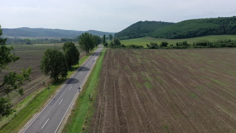 Drohne-Fliegt-Entlang-Einer-Zweispurigen-Straße-Mit-Bäumen-An-Der-Seite