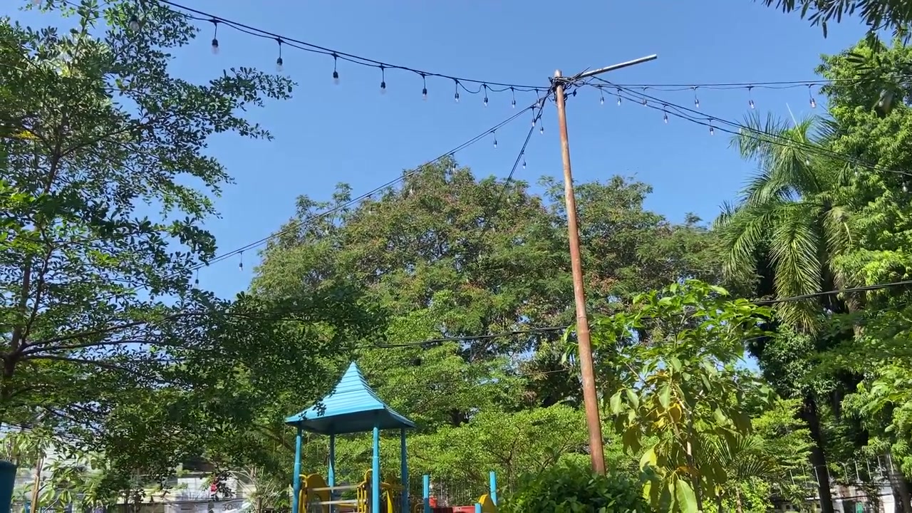 Sunny Day in a Park with Playground, Green Trees, and String Lights
