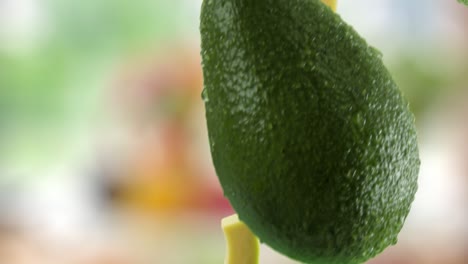 aguacate con rebanadas cayendo en el fondo del jardín