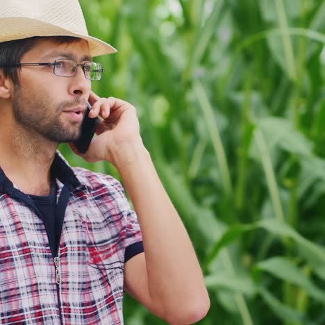 a successful young farmer is on the phone in the background is a corn field